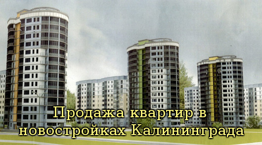 новостройки Калининграда