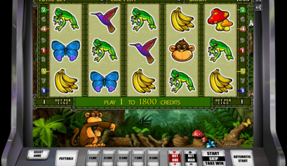 Игровой автомат Crazy Monkey 2 - гарантированные выигрыши для авантюристов
